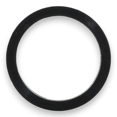 Hayward SwimClear O-Ring Kit (2-Pack) | CXGAR1001PAK2