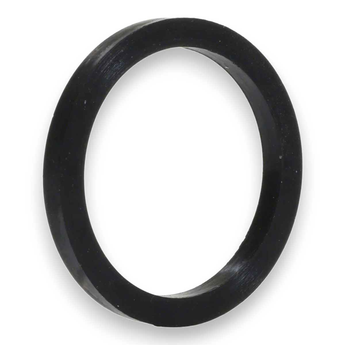 Hayward SwimClear O-Ring Kit (2-Pack) | CXGAR1001PAK2