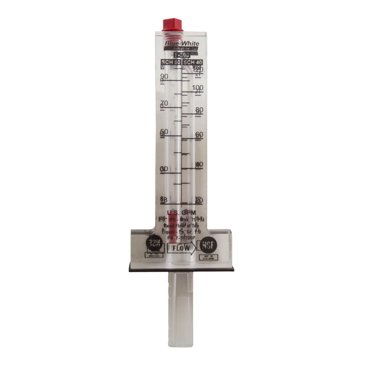 Blue White Industries 2 inch Flow Meter