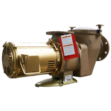 C-Series CHK-100 10 HP high head pump with bronze strainer pot and 3-phase design