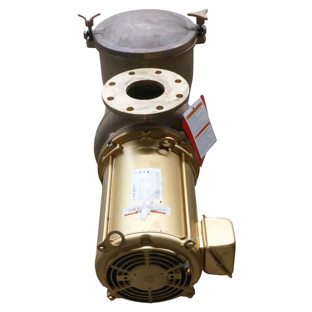 C-Series CHK-100 10 HP high head pump with bronze strainer pot and 3-phase design