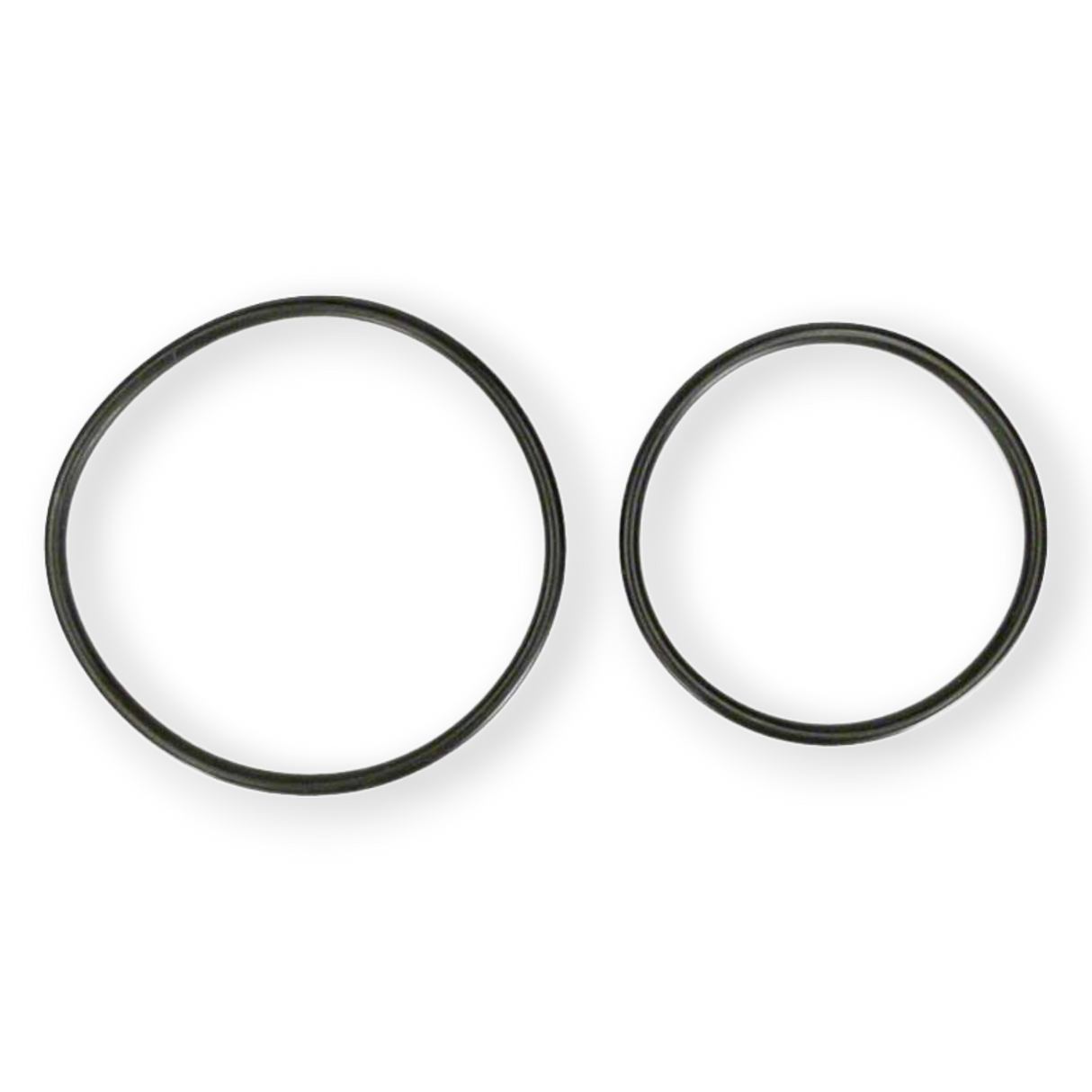 Hayward Pro-Grid/SwimClear O-Ring (2-Pack) | DEX2420Z8A