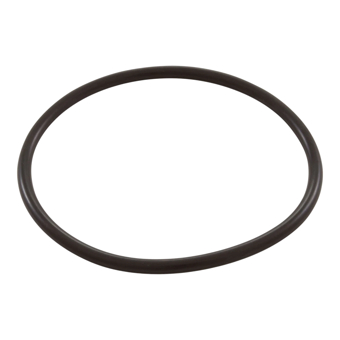 Pentair R172009 - O Ring