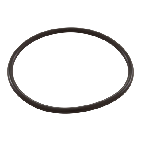 Pentair R172009 - O Ring