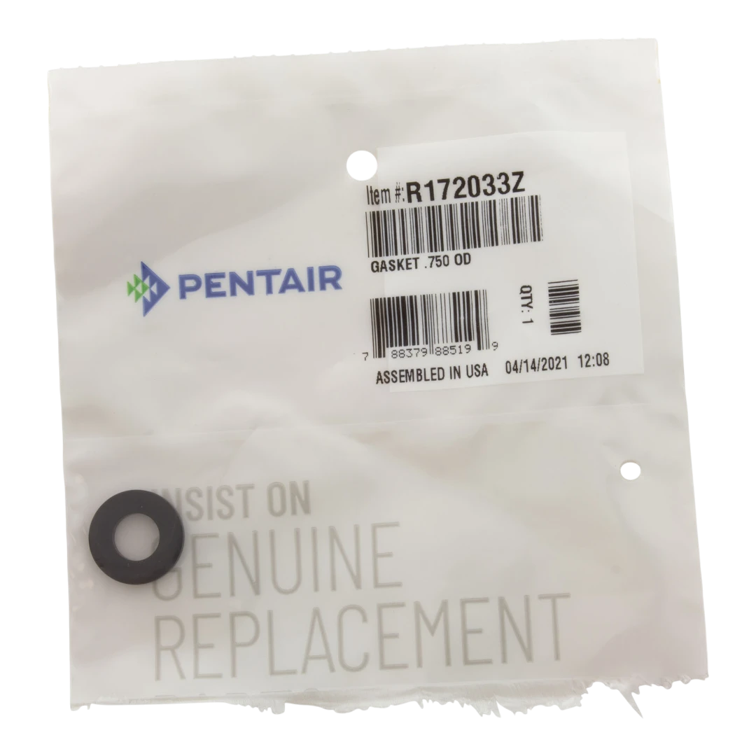 Pentair R172033Z Gasket O-Ring