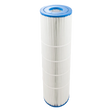 Filter Cartridge for Clean & Clear Plus 420 - R173576