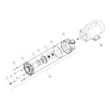 Waterway EX2 Pump 3.0 SPL 230V 2 Speed 48 Frame 2 Inch Ports OEM Replacement