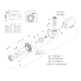 Waterway Executive Pump 4.0HP 230V 1 Speed 56 Frame 2.5" x 2" OEM Replacement