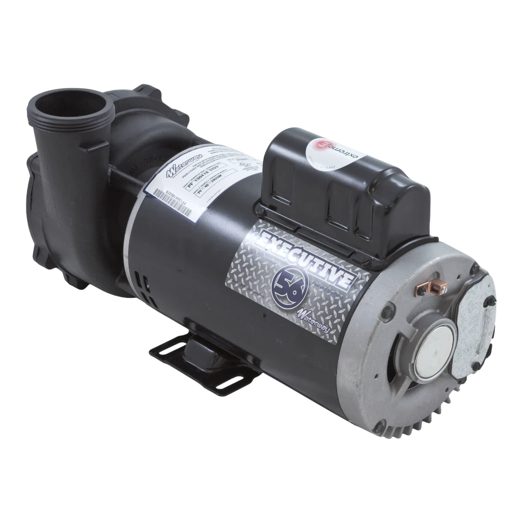 Waterway 2-Speed Executive 56-Frame Spa Pump 3722021-1D