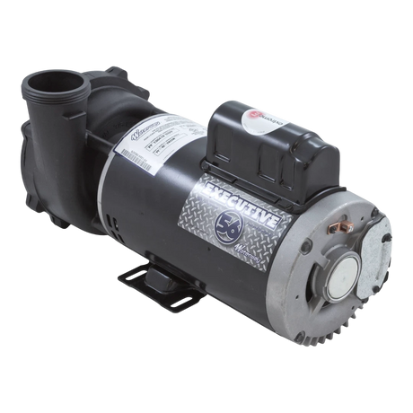 Waterway 2-Speed Executive 56-Frame Spa Pump 3722021-1D