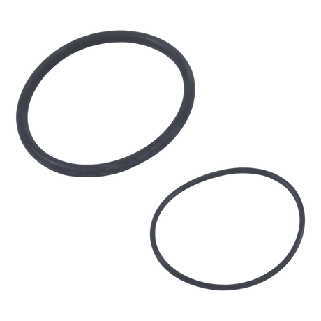 Zodiac Jandy R0555100 Outlet Tube/Elbow Assembly with O-Rings for various filter models