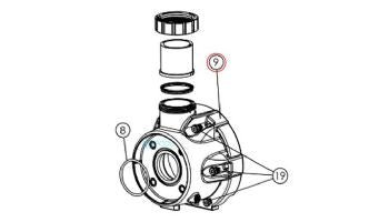 Hayward Pump Housing with Drain Plug | HCXP3000A - EZ Pools