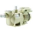 Pentair Superflo VS Variable Speed 1.5HP Pool Pump | 115 / 230V | 342001 - EZ Pools